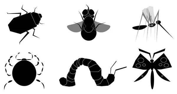Image Des Insectes Noir Parmi Les Objets Scarabée Une Mouche — Image vectorielle