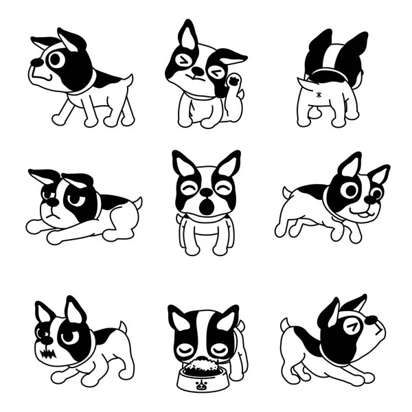 Conjunto Personagem Desenho Animado Vetorial Boston Terrier Cão Poses —  Vetores de Stock