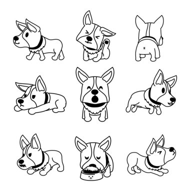 Vektör çizgi film karakteri corgi köpek pozlar tasarımı için set.