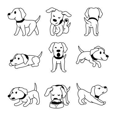 Vektör çizgi film karakteri labrador köpek pozlar tasarımı için set.