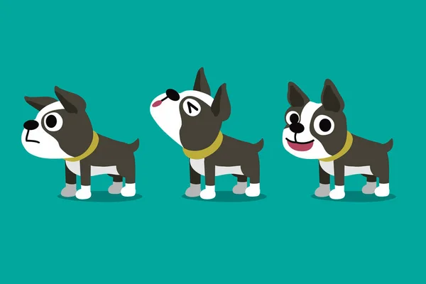 Set Vector Cartoon Character Boston Terrier Dog Poses Design — Stock Vector