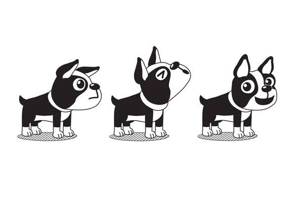 ベクトル漫画の文字かわいいボストン テリア犬デザインのポーズ — ストックベクタ