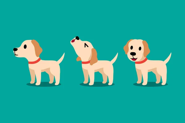 Vektör Çizgi Film Karakteri Labrador Köpek Pozlar Tasarımı Için Set — Stok Vektör