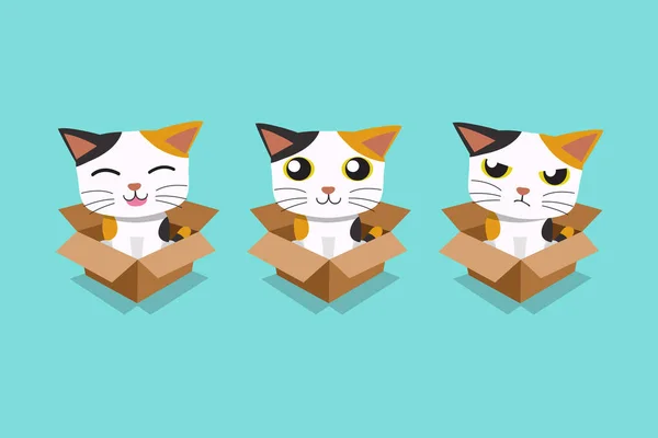 设计的纸板盒中的猫的矢量卡通插图集 — 图库矢量图片