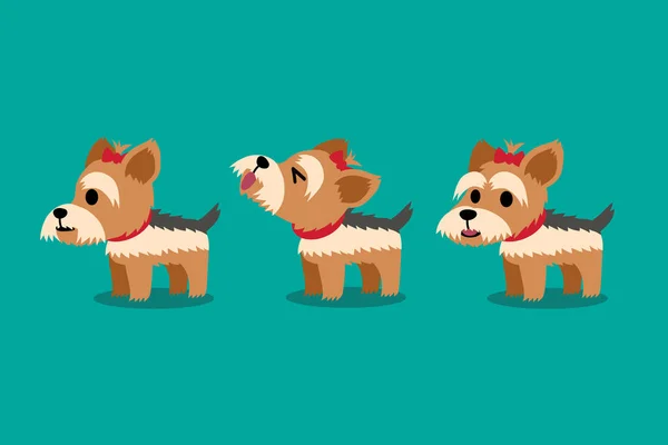 Conjunto Personagem Desenho Animado Vetor Bonito Yorkshire Terrier Cão Poses —  Vetores de Stock