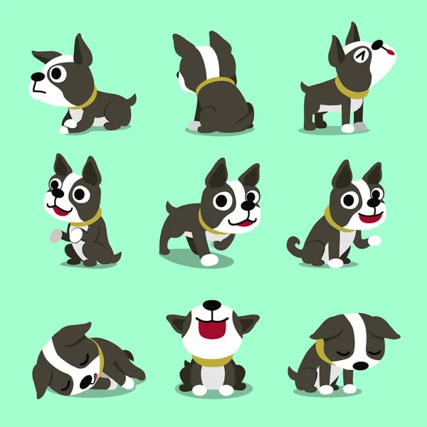 Vector Cartoon Character Cute Boston Terrier Dog Poses Set Design — Stock Vector