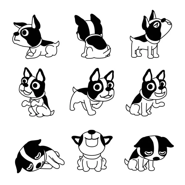 Vector Personagem Desenho Animado Bonito Boston Terrier Cão Posa Para —  Vetores de Stock