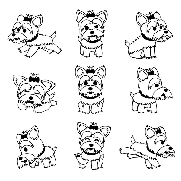 Personaje Dibujos Animados Yorkshire Terrier Dog Poses Conjunto Para Diseño — Vector de stock