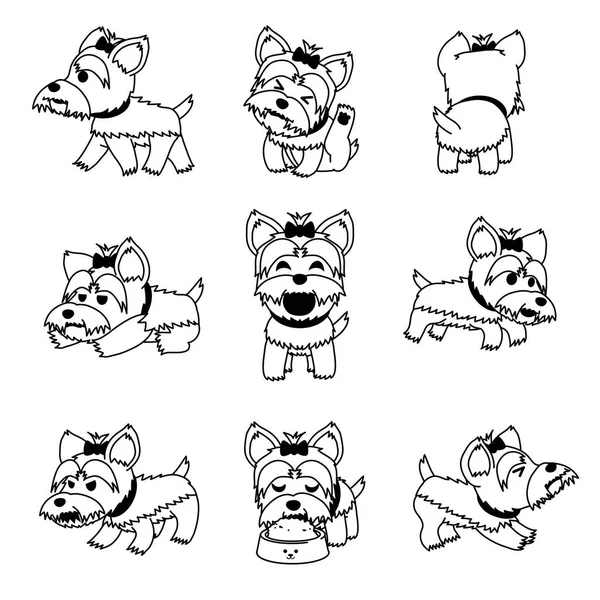 Personaje Dibujos Animados Yorkshire Terrier Dog Poses Conjunto Para Diseño — Vector de stock