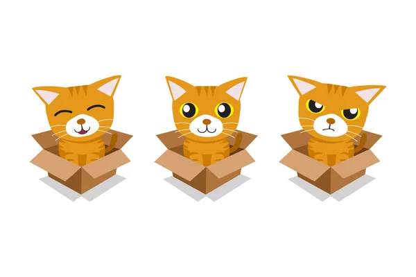 设计的纸板盒中的斑猫的矢量卡通插图集 — 图库矢量图片