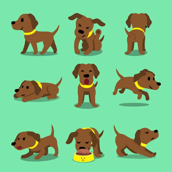 Cartoon Character Brown Labrador Dog Poses Design — Stock Vector