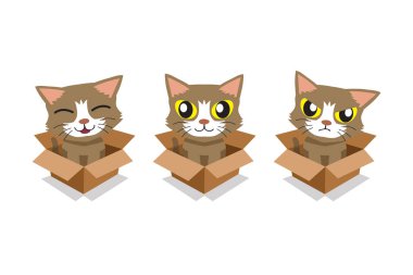 Vektör karikatür çizim dizayn için karton kutu içinde şirin kedi ayarla.