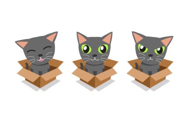 Vektör karikatür çizim dizayn için karton kutu içinde Gri kedi ayarla.