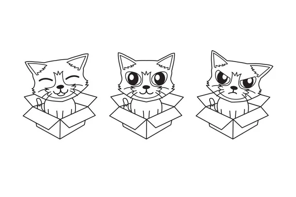 矢量卡通可爱的猫在纸板箱的设计 — 图库矢量图片