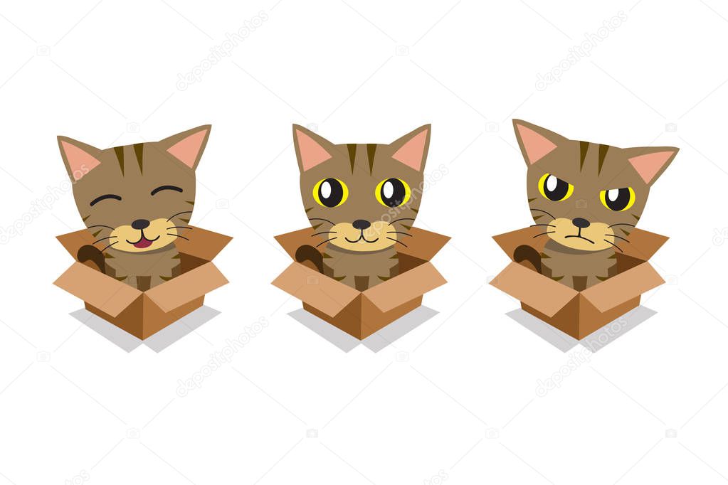 Vector cartoon illustration set of tabby cat in cardboard box for design.