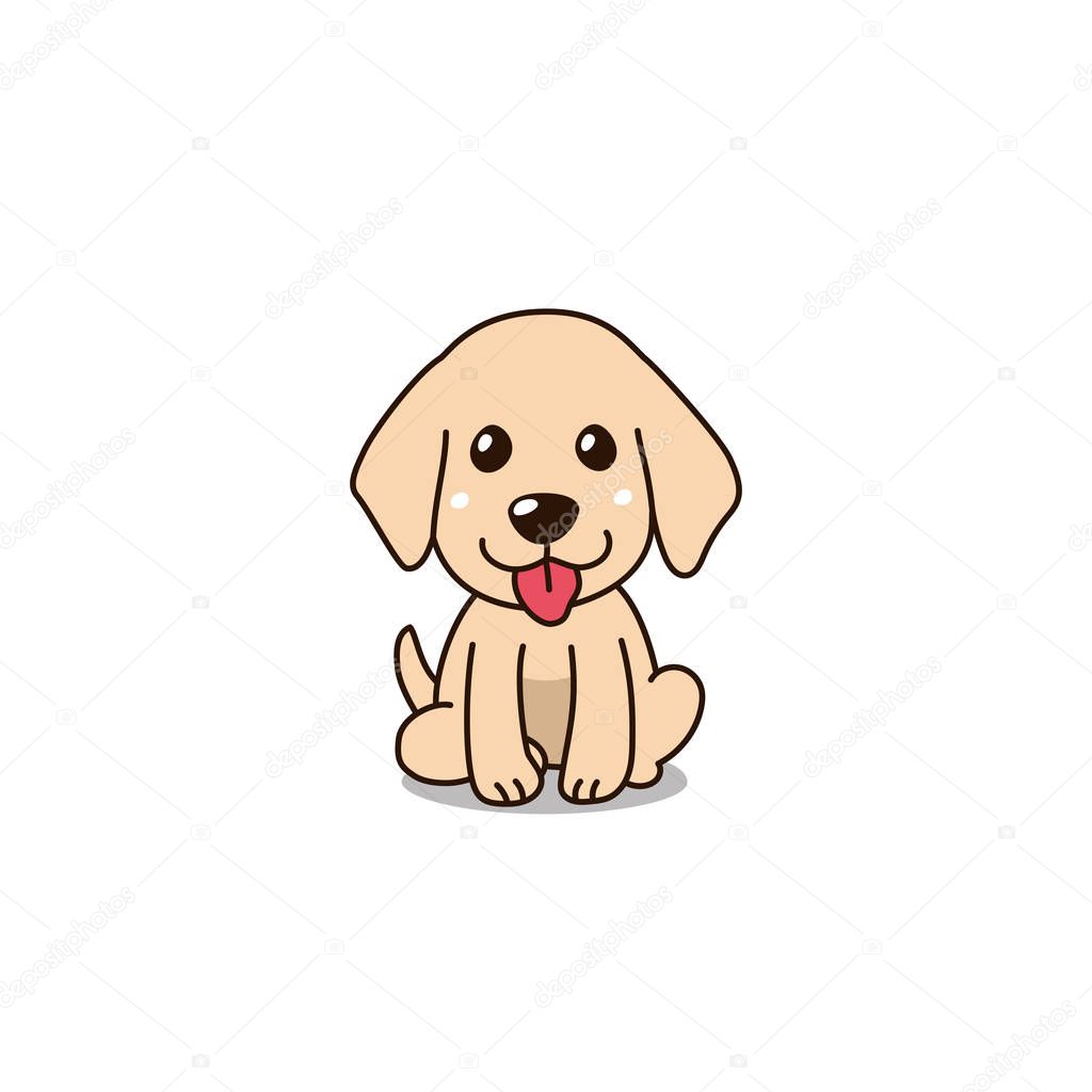 Vector cartoon character cute golden retriever puppy dog for design.