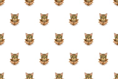 Karton kutu Dikişsiz desen tasarımı için vektör karikatür tekir kedi.