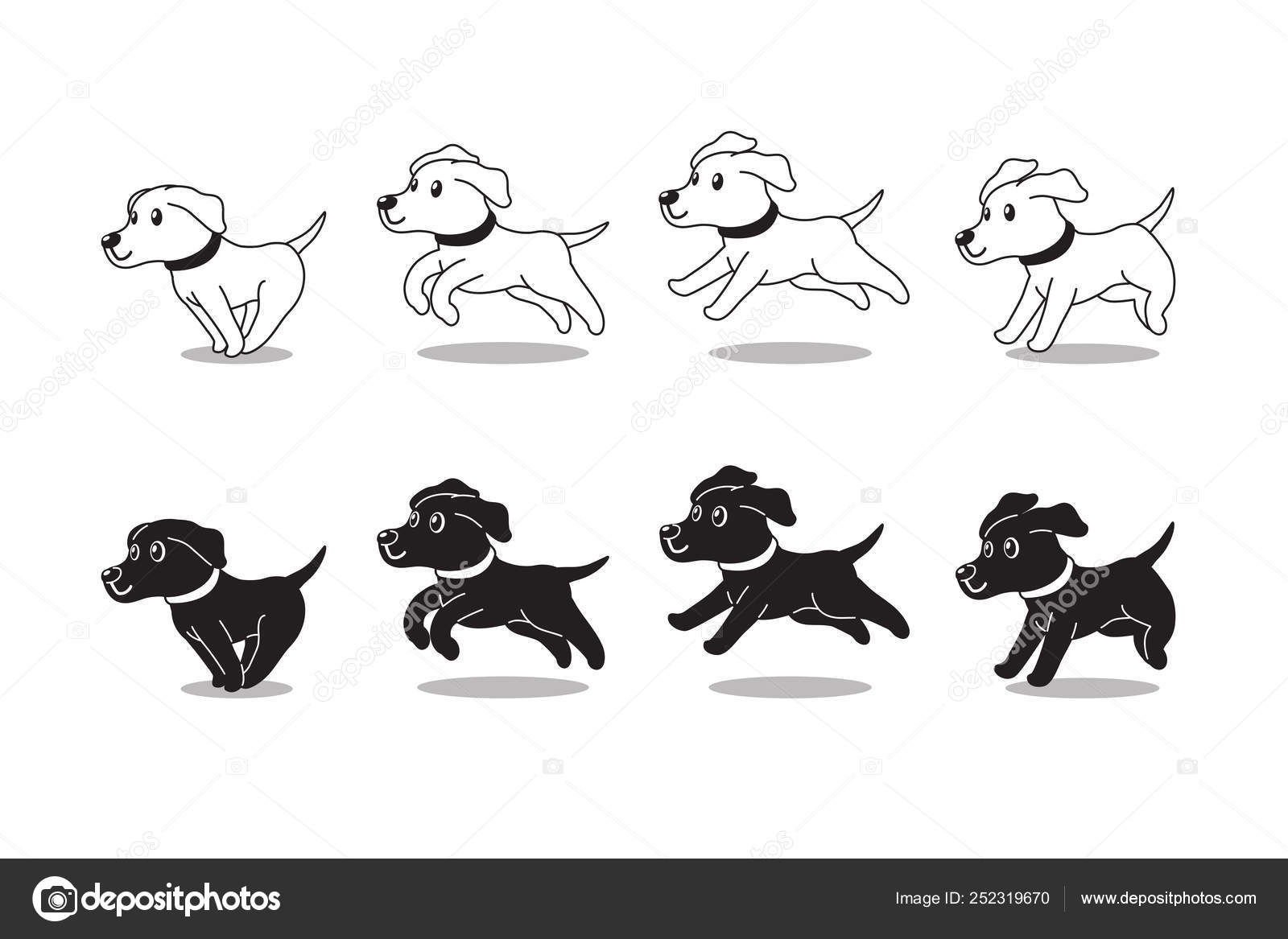 Exécute étape Conception Chien Labrador Retriever Personnage