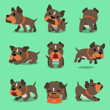 Cartoon character pit bull terrier dog poses for design. clipart
