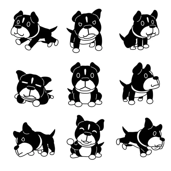 Karikatür karakter pitbull terrier köpek tasarım için ayarlanmış pozlar.