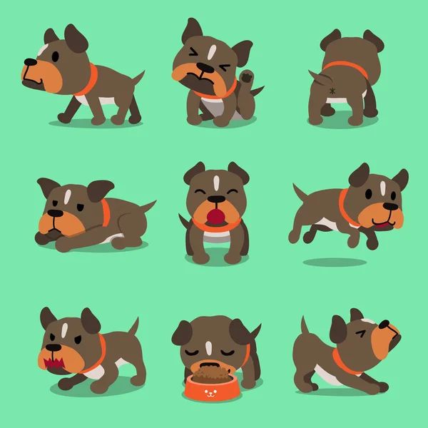 Personaje Dibujos Animados Pit Bull Terrier Perro Posa Para Diseño — Archivo Imágenes Vectoriales