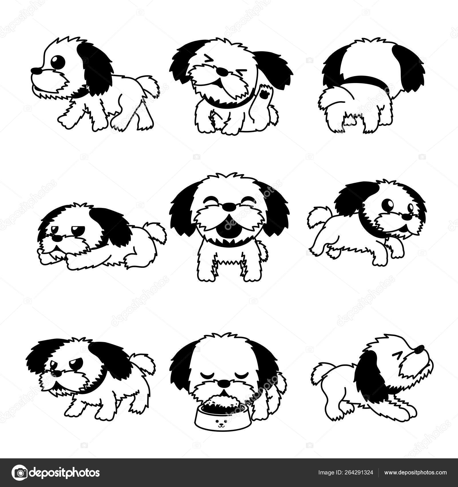 88+ Shih Tzu Cartoon Images