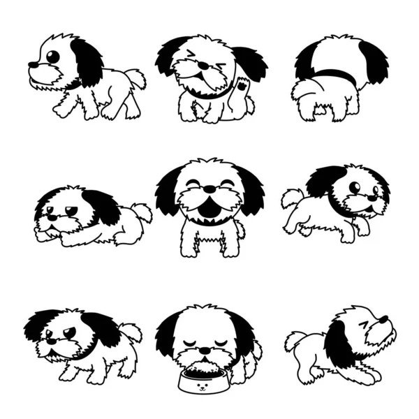 วละครการ Shih Tzu ขโพสส าหร บการออกแบบ — ภาพเวกเตอร์สต็อก