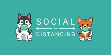 Covid-19 koruma konsepti tekir kedi ve koruyucu yüz maskesi takan Sibiryalı köpek tasarım için sosyal mesafeler.