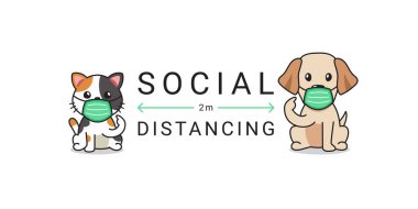 Covid-19 koruma konsepti kedi ve köpek koruyucu yüz maskesi takarak sosyal mesafeyi dizayn etmek için.