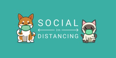 Covid-19 koruma konsepti kedi ve köpek koruyucu yüz maskesi takarak sosyal mesafeyi dizayn etmek için.