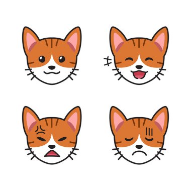 Tasarım için farklı duyguları gösteren bir grup tekir kedi yüzü.