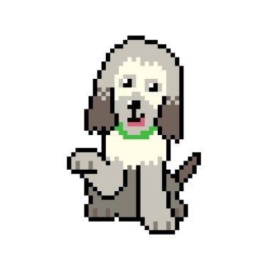 Piksel sanat, geçmişe dönük tasarım için sevimli bir Afgan av köpeği vektörü.