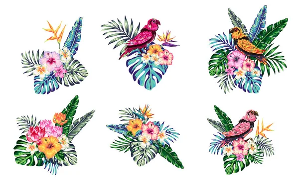 tropical collection with exotic flowers and leaves vector design isolated elements on the white, tropical flowers and parrot, summer background with tropical flowers