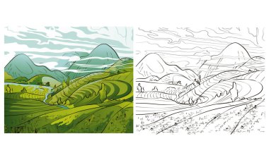 Vector rice or tea plantation on a cascading field on a mountain in China, Vietnam or the Philippines. Abstract asian meadow with a plant. Vector flat cartoon illustration, illustration of southeast asia countryside clipart