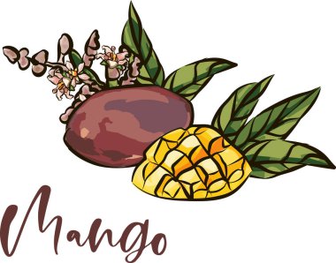 Mango meyveleri çizim stili vektör illüstrasyonu. El çizimi poster. Yaprak ve küp dilimli egzotik meyve kompozisyonu. Retro illüstrasyon beyaz arkaplanda izole edildi.