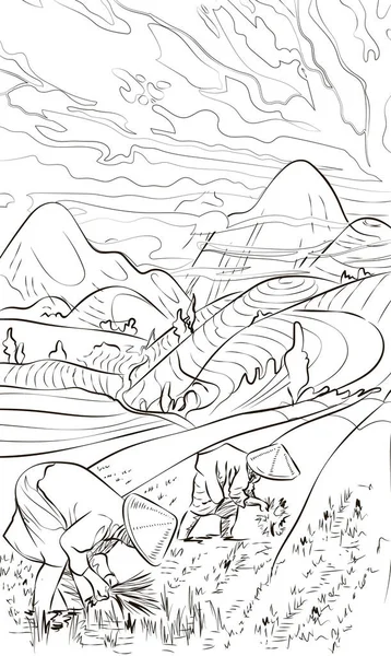 Ілюстрація Фермерів Які Саджають Рис Полях Рисові Тераси Гірських Ландшафтах — стоковий вектор