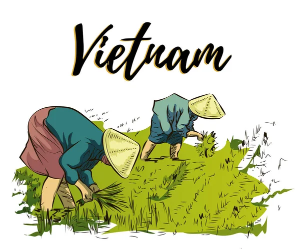 Вьетнамские Крестьяне Выращивают Рис Фермеры Работают Рисовых Полях Векторные Рисунки — стоковый вектор