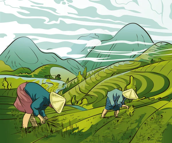 Ilustração Agricultores Plantando Arroz Nos Campos Terraços Campo Arroz Paisagem —  Vetores de Stock