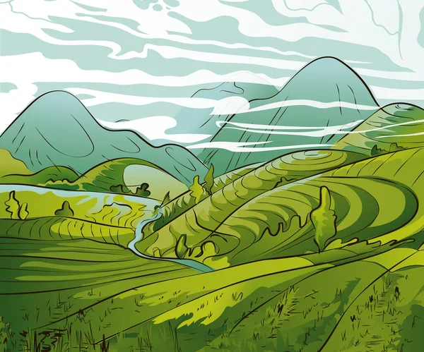 Vector Arroz Plantación Campo Cascada Una Montaña China Vietnam Filipinas — Archivo Imágenes Vectoriales