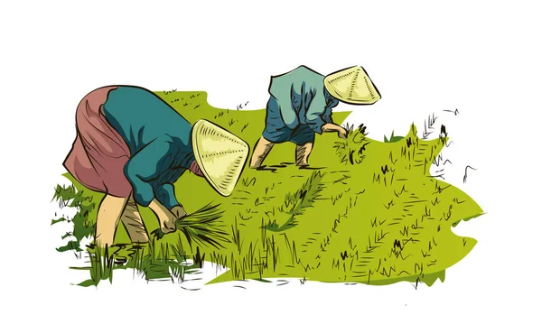 Les Paysans Vietnamiens Plantent Riz Les Agriculteurs Travaillent Dans Les — Image vectorielle