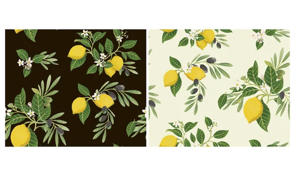 Plátky Citronu Olivy Olivová Ratolest Sada Ručně Kreslené Botaniky Citrónový — Stockový vektor