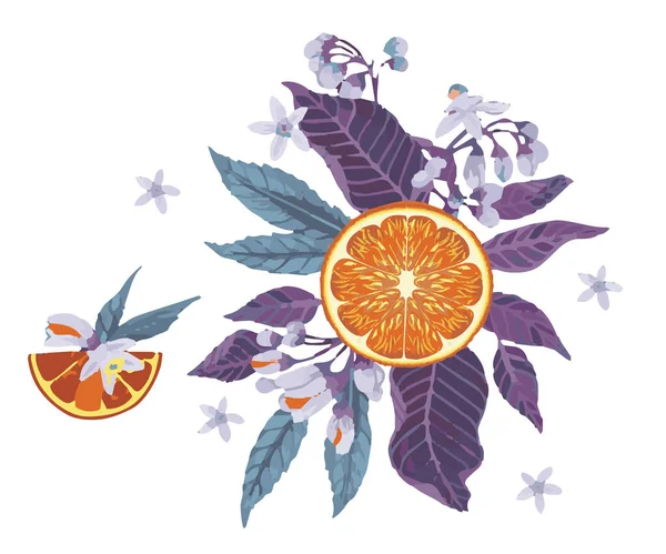 Citrusy Bylinnými Ingrediencemi Ručně Kreslené Vektorové Ilustrace Bylinnými Ilustracemi Šablona — Stockový vektor