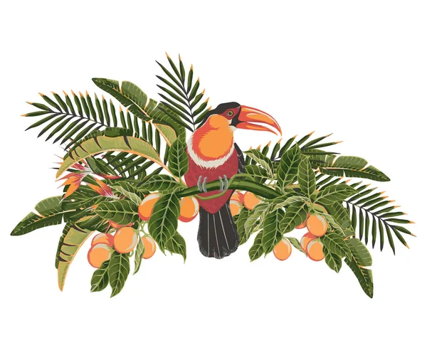 Mangue Toucan Tropicale Modèle Été Mode Fond Exotique Pour Bannières — Image vectorielle