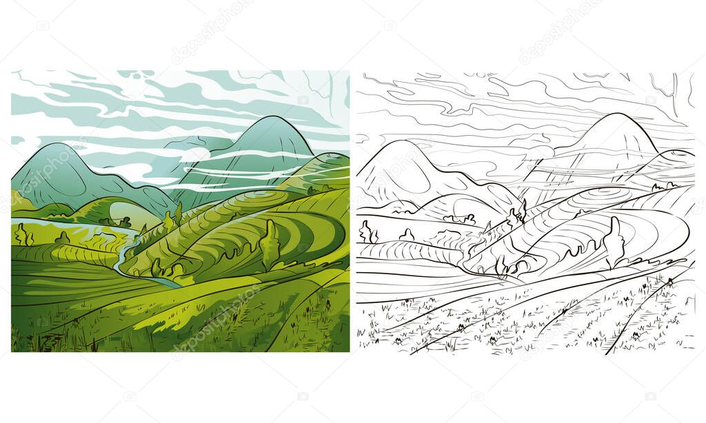 Vector rice or tea plantation on a cascading field on a mountain in China, Vietnam or the Philippines. Abstract asian meadow with a plant. Vector flat cartoon illustration, illustration of southeast asia countryside