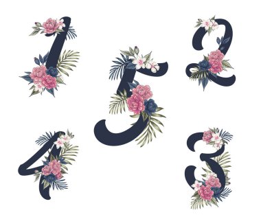 Çiçek süsleme numaraları. Zarif çiçek sayısı, çiçek tomurcukları tarihi ve sayısal monogram. Yaprak filigran süsleme numaraları karakteri. Vektör illüstrasyonu izole edilmiş semboller ayarlandı