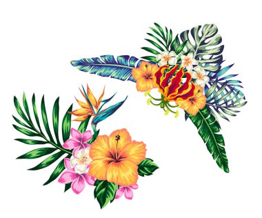 Çiçek yapraklarından tropikal bileşimler ve beyaz arka plandaki tasarımınız için elementler. Hikayeler için şablon ve kartpostallar için illüstrasyon.