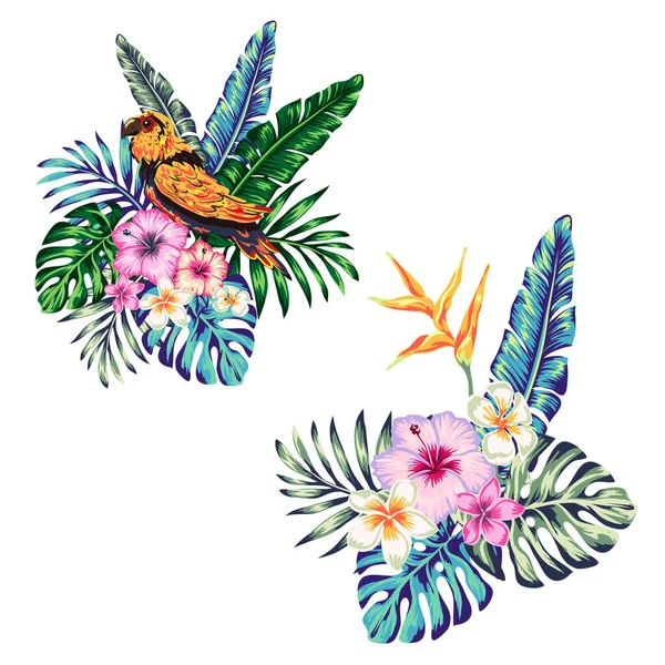 tropical collection with exotic flowers and leaves vector design isolated elements on the white, tropical flowers and parrot, summer background with tropical flowers