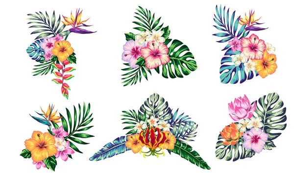 热带组成的花的叶子的Polma芙蓉和元素为您的设计在一个白色的背景 适用于明信片的故事和插图模板 — 图库矢量图片