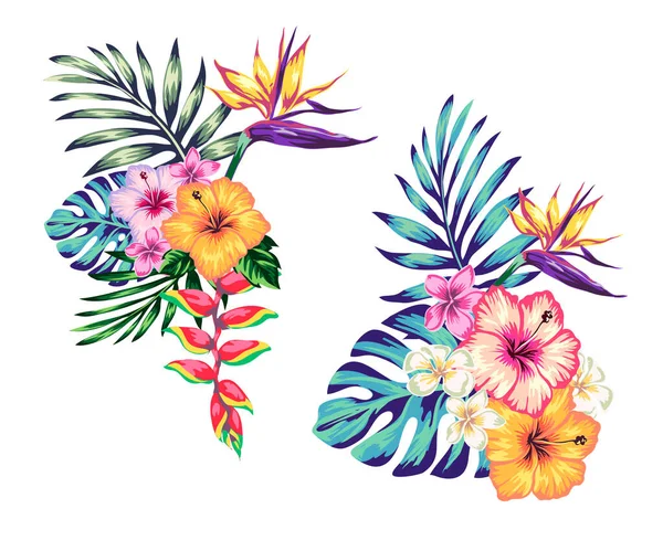 Çiçek yapraklarından tropikal bileşimler ve beyaz arka plandaki tasarımınız için elementler. Hikayeler için şablon ve kartpostallar için illüstrasyon.