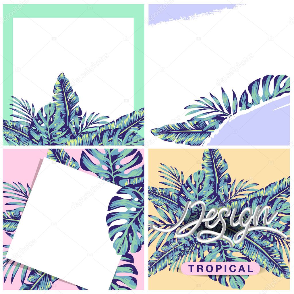 Background with banana leaves. Decorative image of tropical foliage, flowers and birds. Set of story and post square frames. Layout for advertising. space for letters